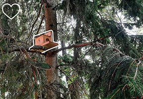 Veveričky, ježe aj vtáky majú v okolí školy svoj nový domov