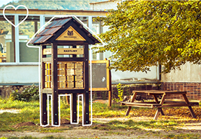 Takto si deti vychutnajú environmentálnu výchovu priamo v prírode