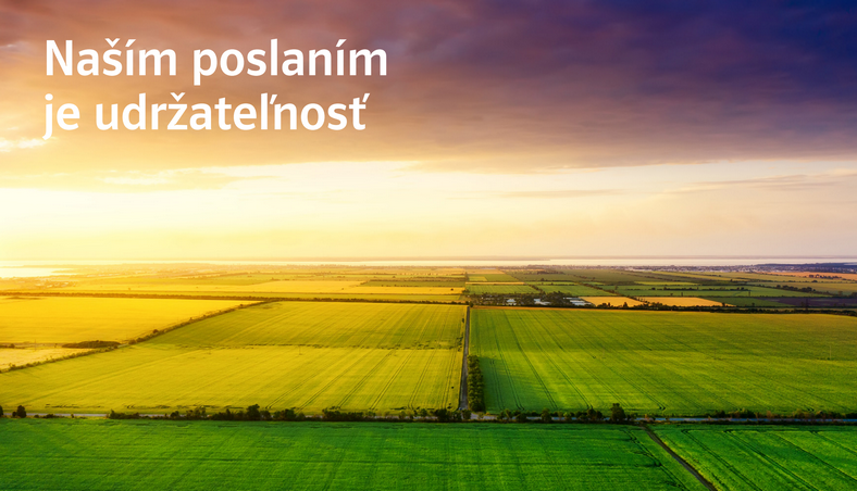 Report udržateľnosti