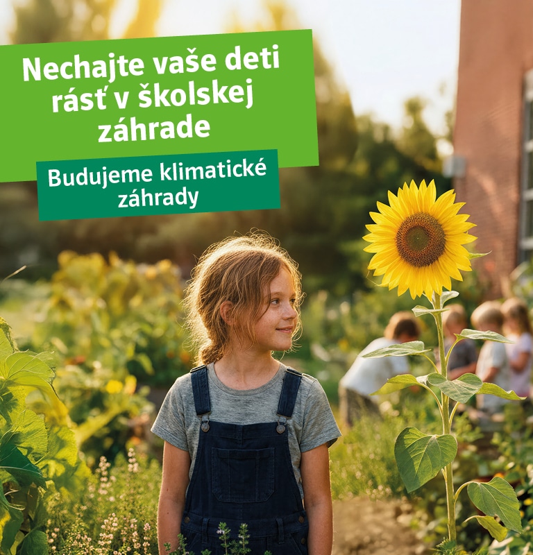 Nechajte vaše deti rásť v školskej záhrade. Budujeme klimatické záhrady